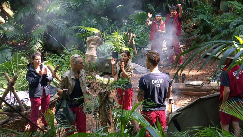 Prämie Für Sieger Dschungelcamp Prämie Für Sieger Dschungelcamp