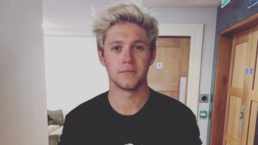 Niall Horan, Sänger