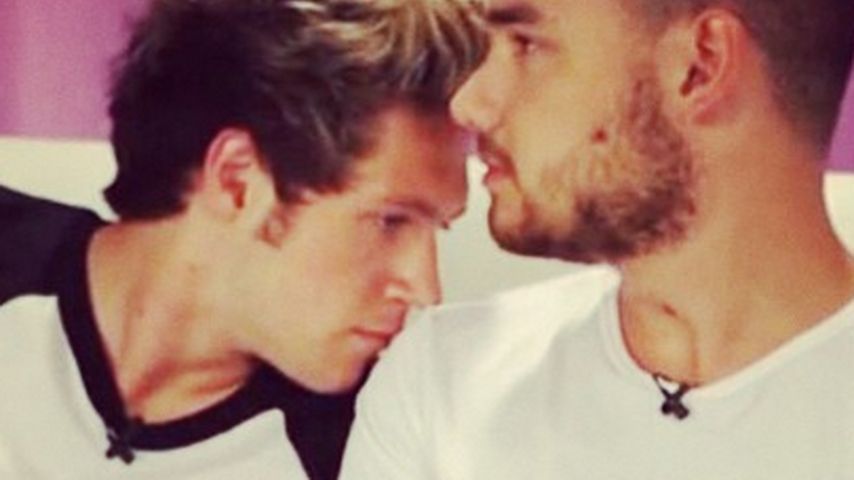 Niall Horan und Liam Payne