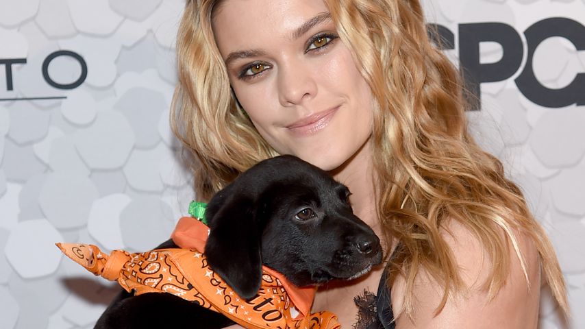 Drollig! Nina Agdal mit süßem Hundewelpen auf Red Carpet