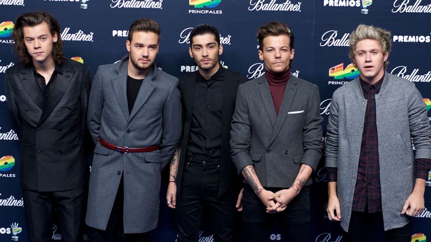 1D-Geständnis von Zayn: Er war nie mit Harry befreundet!