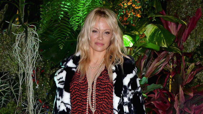 Pamela Anderson, Schauspielerin