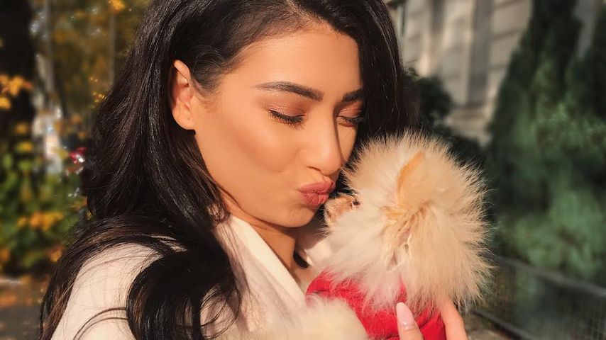 Horror für YouTube-Star Paola: Welpe kämpft um sein Leben!