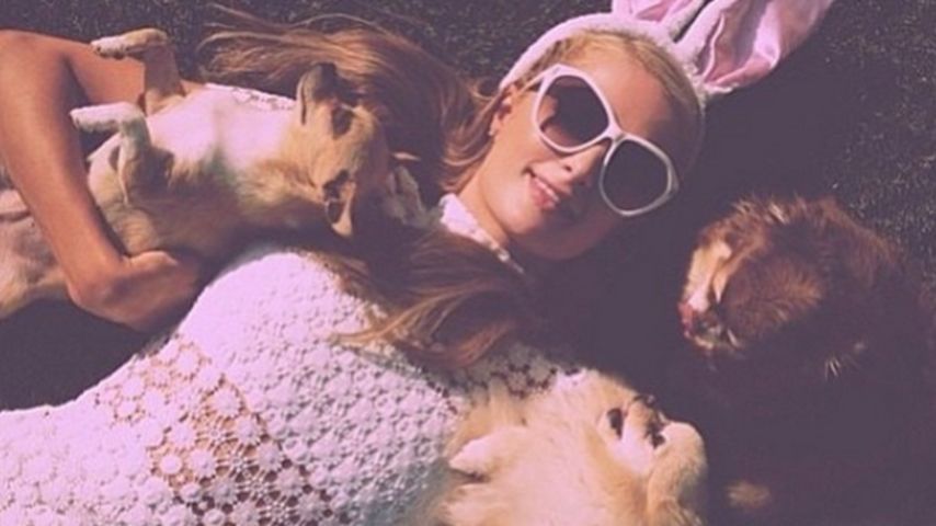 Paris Hilton