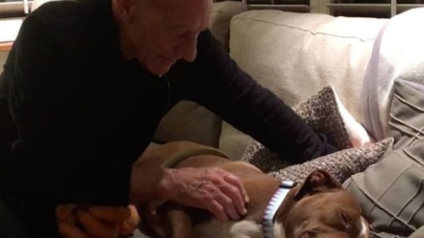 Patrick Stewart mit seiner Pitbull-Dame Ginger
