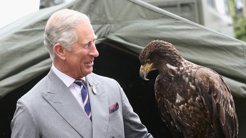 Prinz Charles