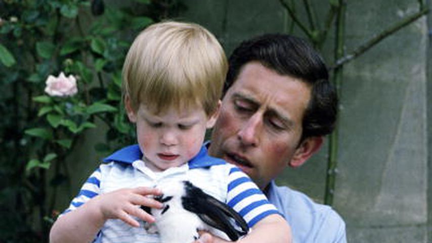 Prinz Charles und Prinzessin Diana mit ihrem Sohn Harry