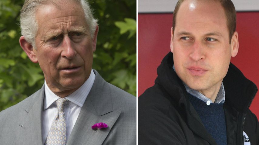 Prinz Charles und Prinz William