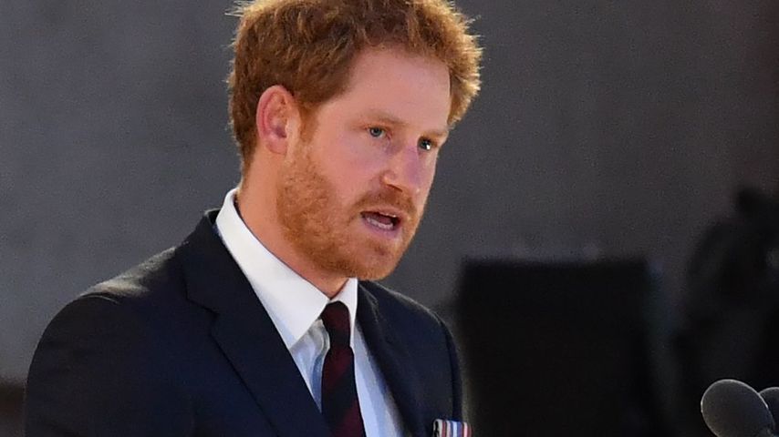 Prinz Harry beim Gedenktag der Kriegsopfer des Ersten Weltkriegs, Frankreich