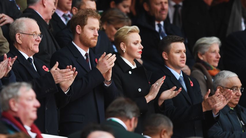 Prinz Harry und Fürstin Charlène auf der Tribüne bei einem Rugbyspiel in London