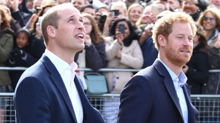 Prinz Harry und Prinz William auf dem Weg zur County Hall in London