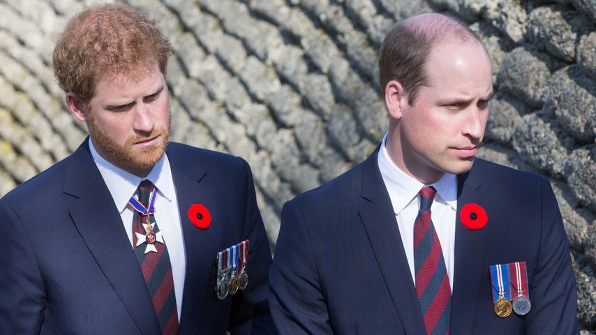 Prinz Harry und Prinz William