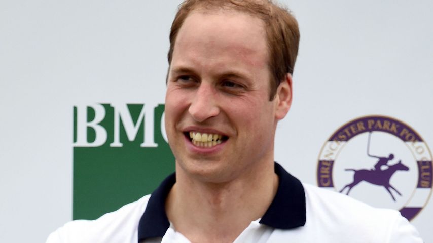 Prinz William