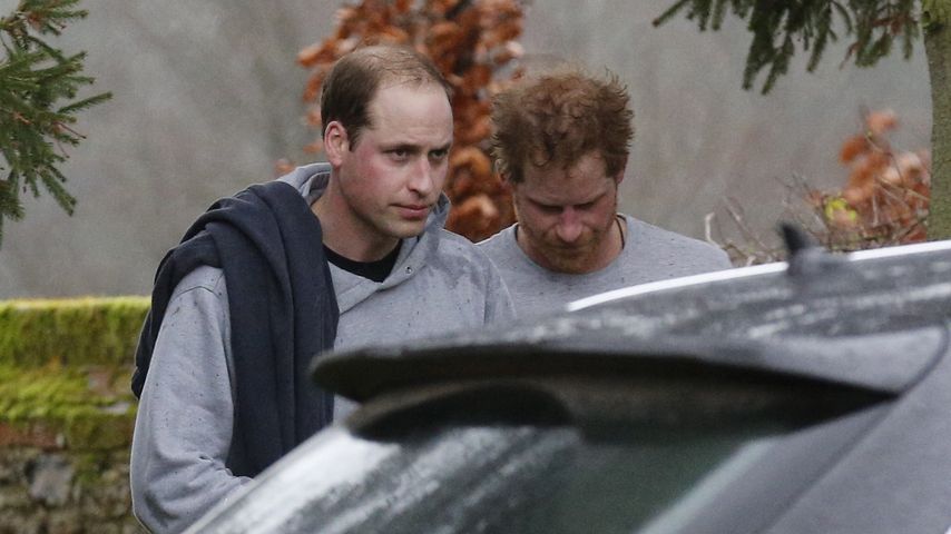 Prinz Harry und Prinz William