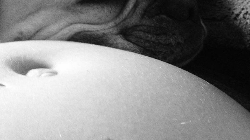 Sara Kulka mit Hund und Babybauch