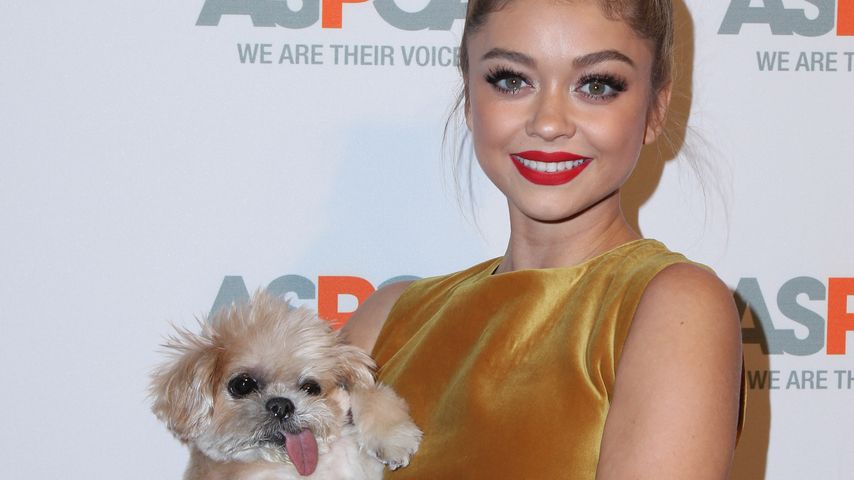 Sarah Hyland und Marnie the dog auf dem Red Carpet ASPCA event