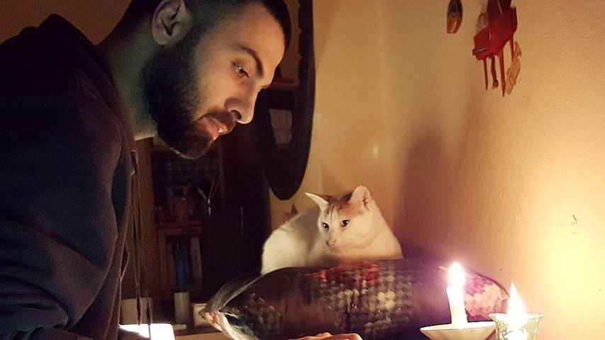 Süßes Katzenvideo: Diese Mieze hat den besten Konzert-Platz!