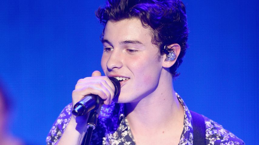 Shawn Mendes, Musiker