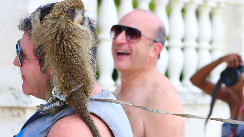 Simon Cowell