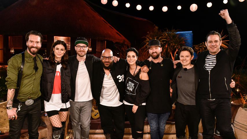 "Sing meinen Song"-Stars 2017