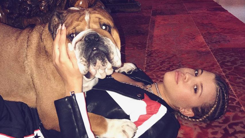 Sofia Richie mit dem Hund von Lewis Hamilton