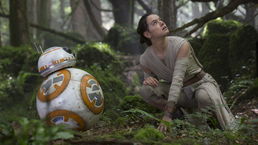 Daisy Ridley in "Star Wars: Das Erwachen der Macht"
