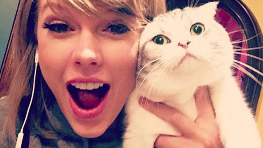 Taylor Swift