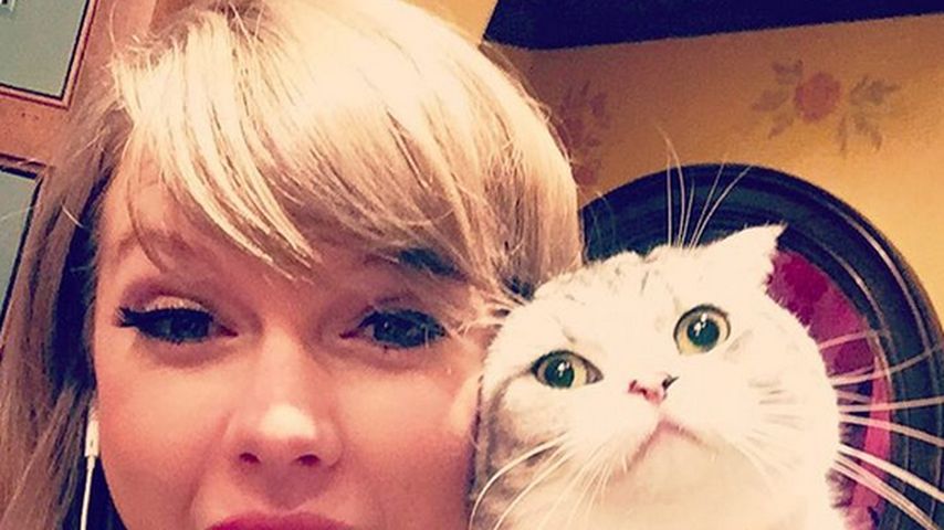 Taylor Swift