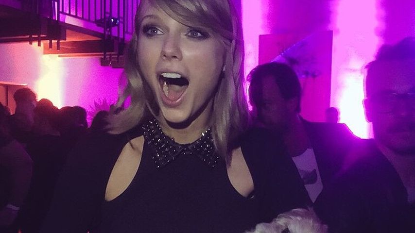 Taylor Swift und Marnie The Dog