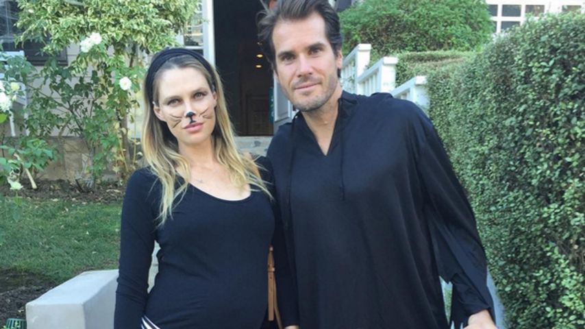 Tommy Haas