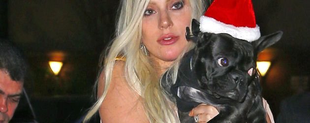 Lady GaGa Lady GaGa