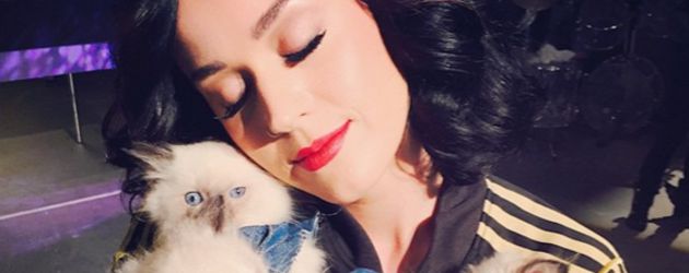 Katy Perry Katy Perry