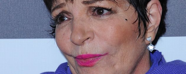 Liza Minnelli Liza Minnelli