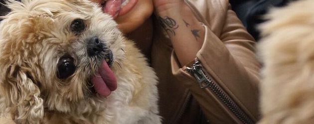 Marnie The Dog mit Sängerin Demi Lovato Marnie The Dog mit Sängerin Demi Lovato