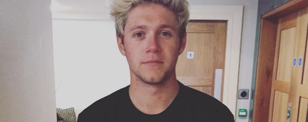 Niall Horan, Sänger Niall Horan, Sänger