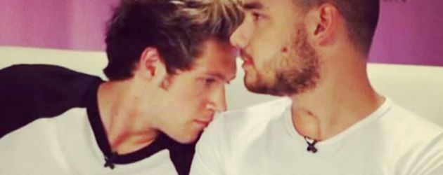 Niall Horan und Liam Payne Niall Horan und Liam Payne