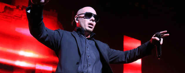 Pitbull Pitbull