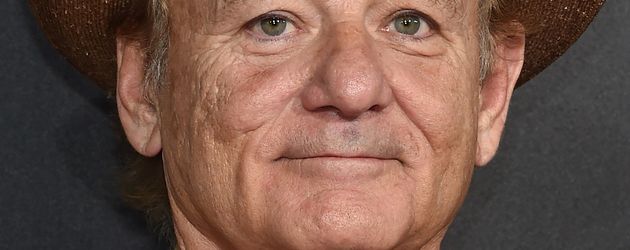 Schauspieler Bill Murray Schauspieler Bill Murray