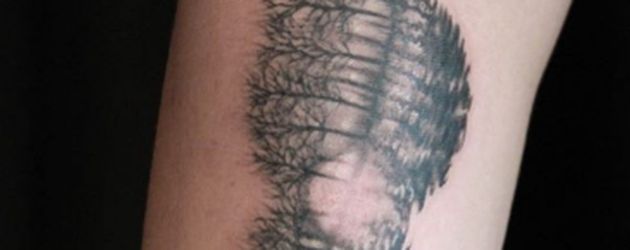 Shawn Mendes' Arm-Tattoo Shawn Mendes' Arm-Tattoo