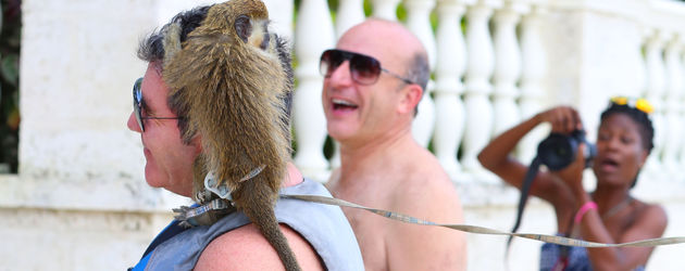 Simon Cowell Simon Cowell